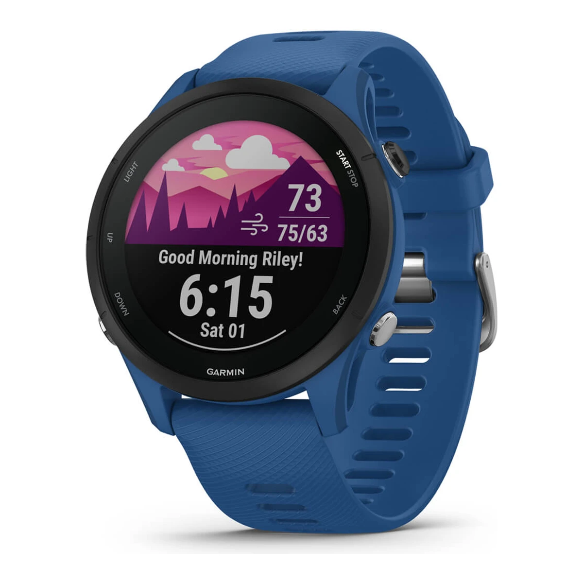 Garmin Forerunner 255