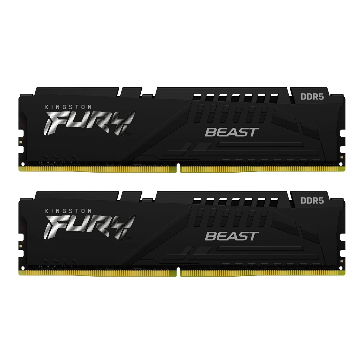 Kingston FURY Beast DDR5