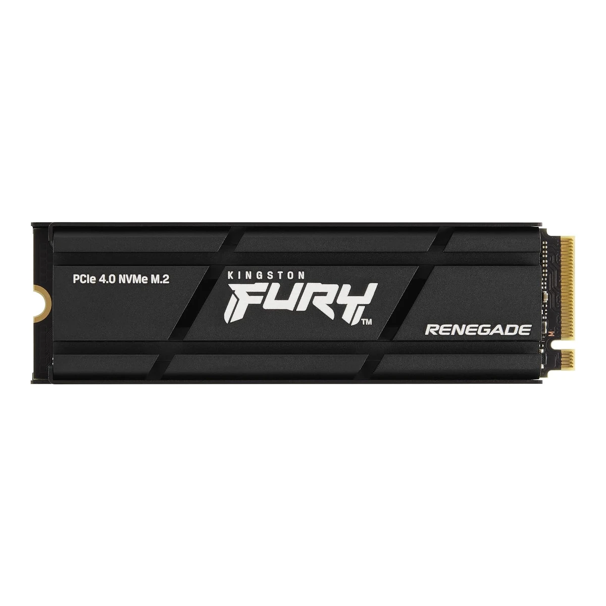 Kingston FURY Renegade