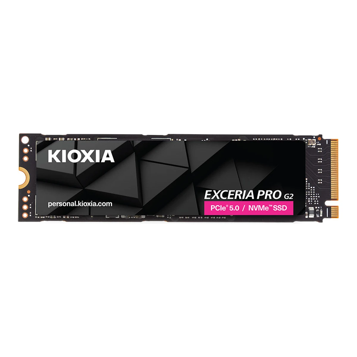 KIOXIA EXCERIA PRO G2