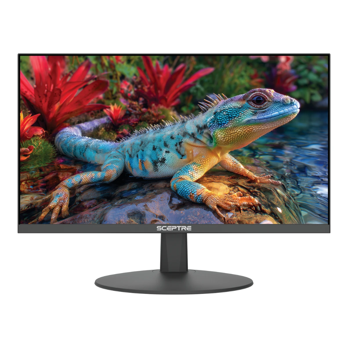 Sceptre E225W-FW144G 22" Full HD Slim LED Monitor