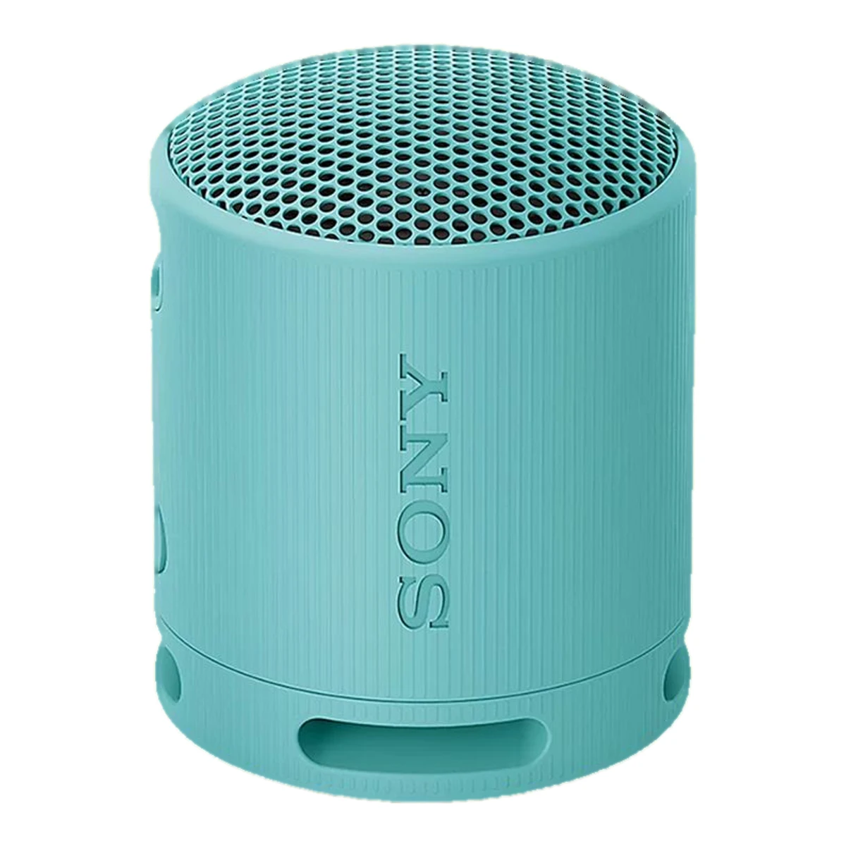 Sony SRS-XB100